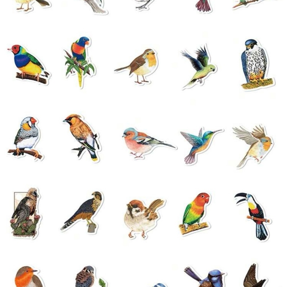 50 Colorful Bird Stickers - Picture 5 of 9